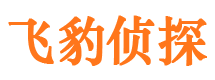 朝阳区市婚外情调查